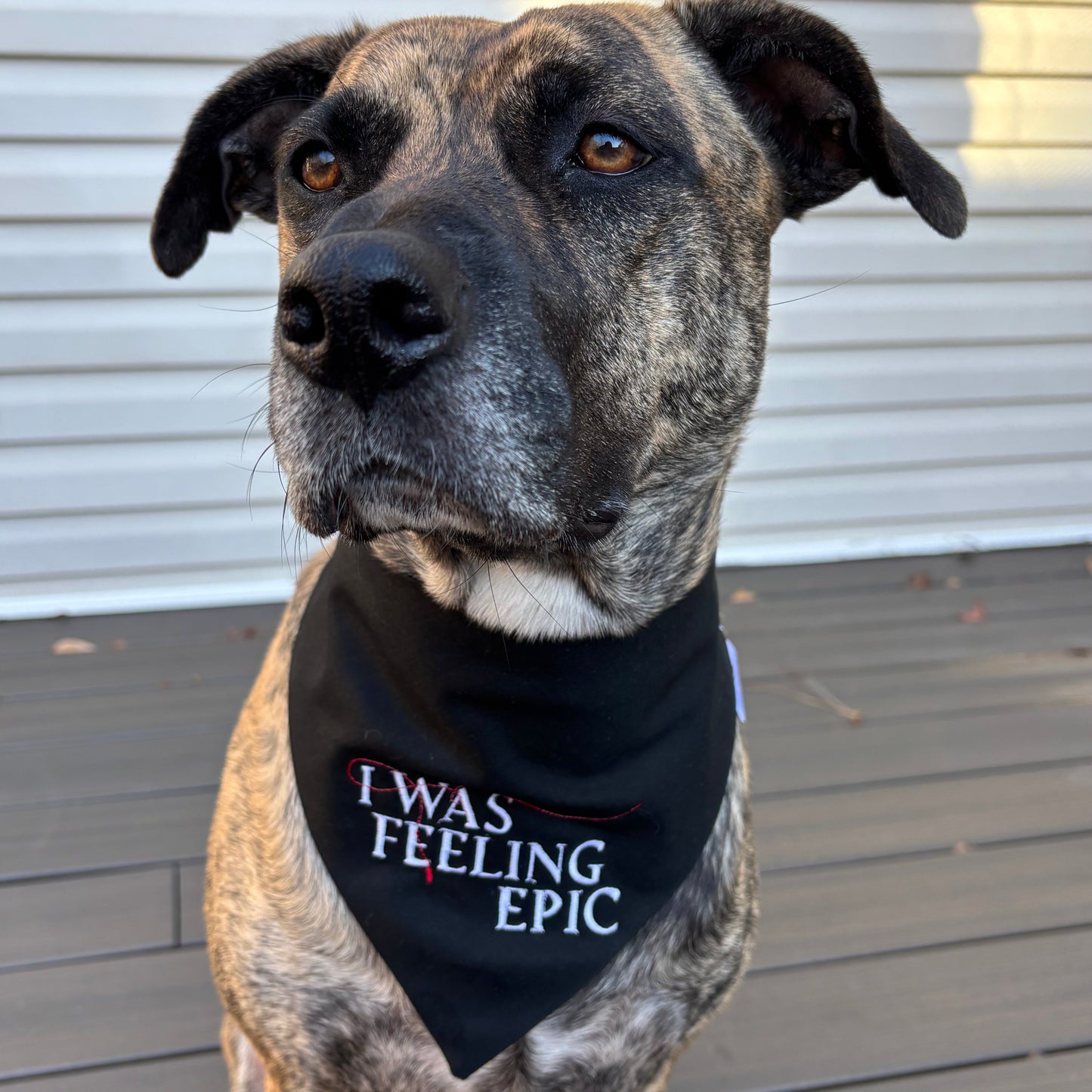 I Was Feeling Epic Scrunchie Bandana image 0