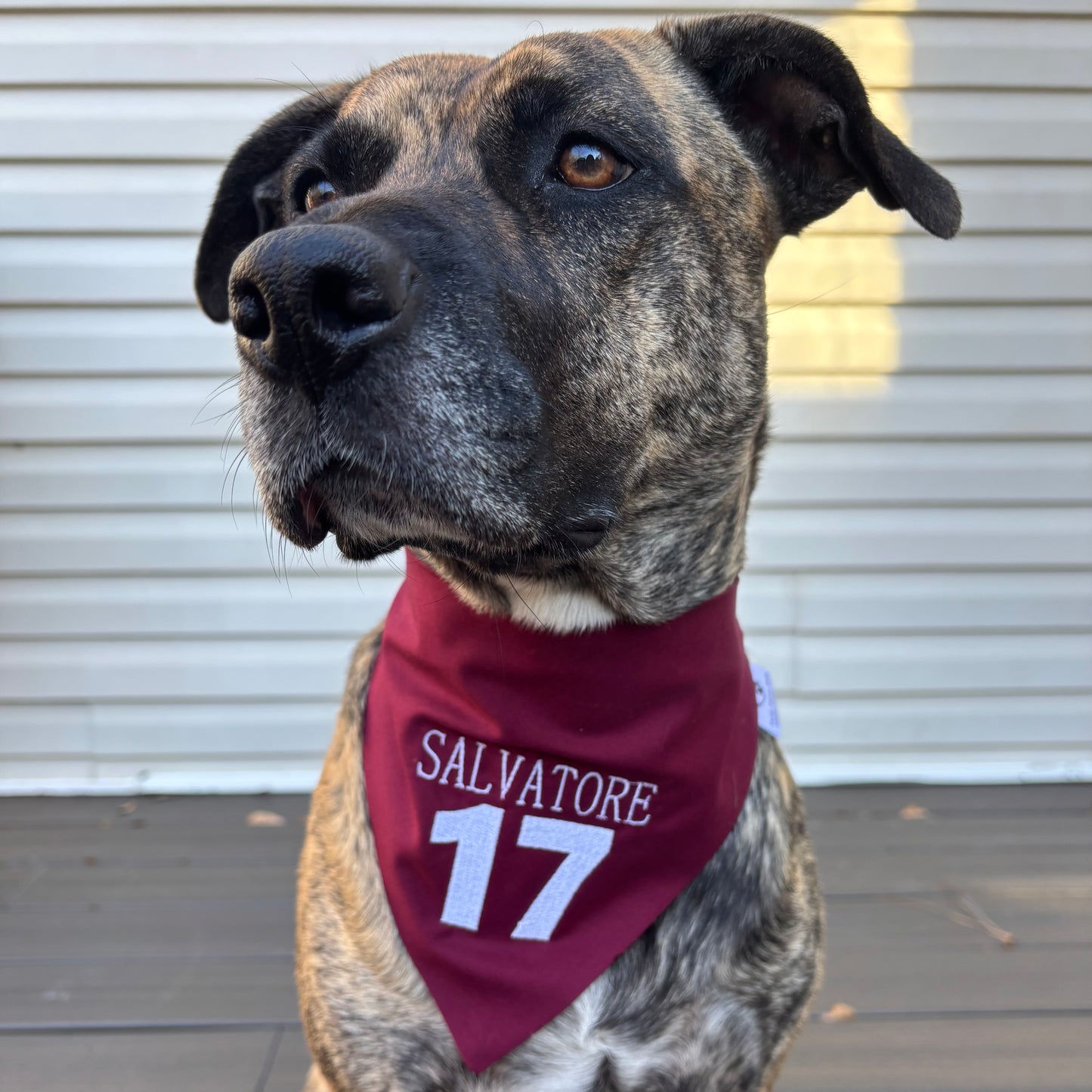 17 Salvatore Scrunchie Bandana image 0