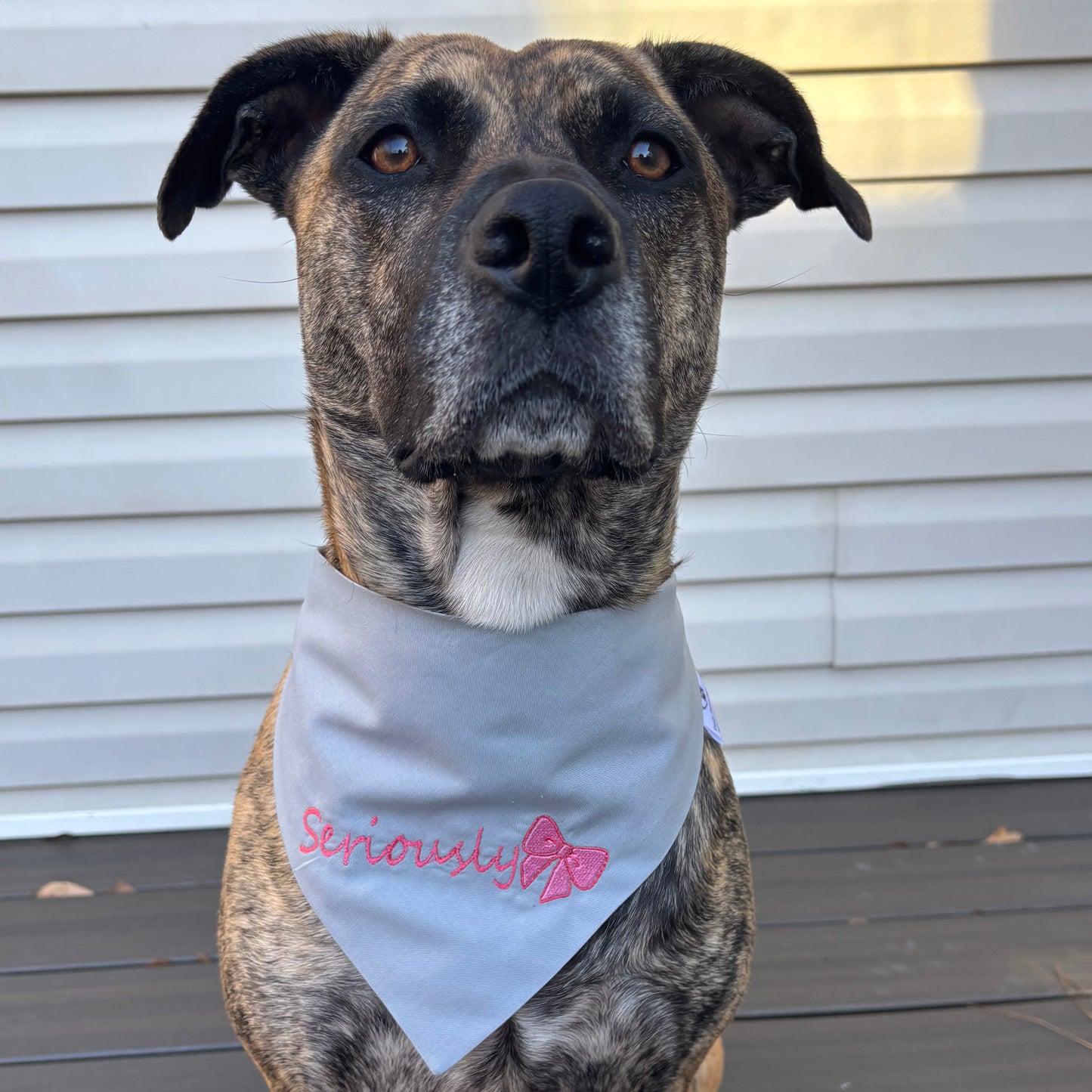 Seriously scrunchie bandana image 0