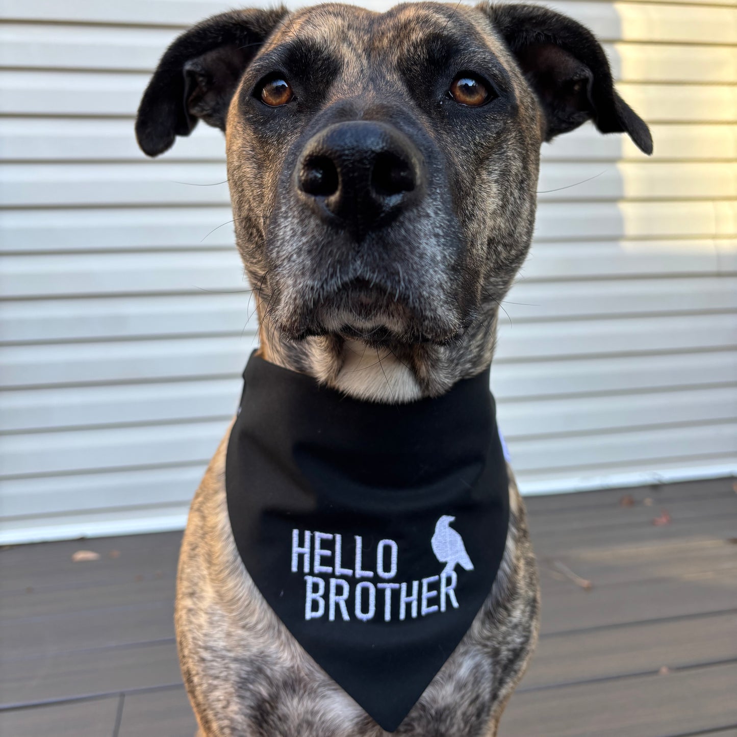 Hello Brother image 0