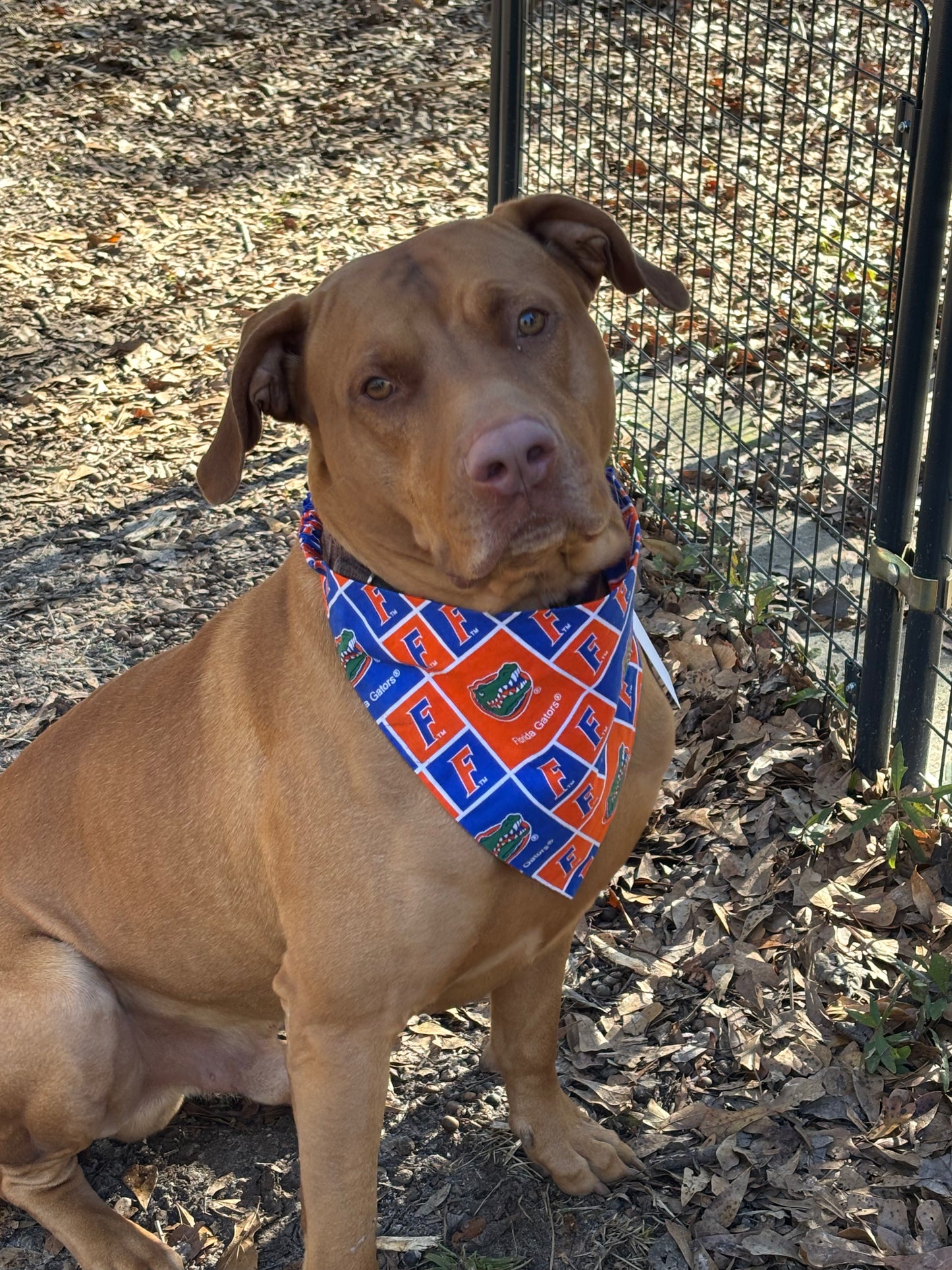 Scrunchie Florida bandana