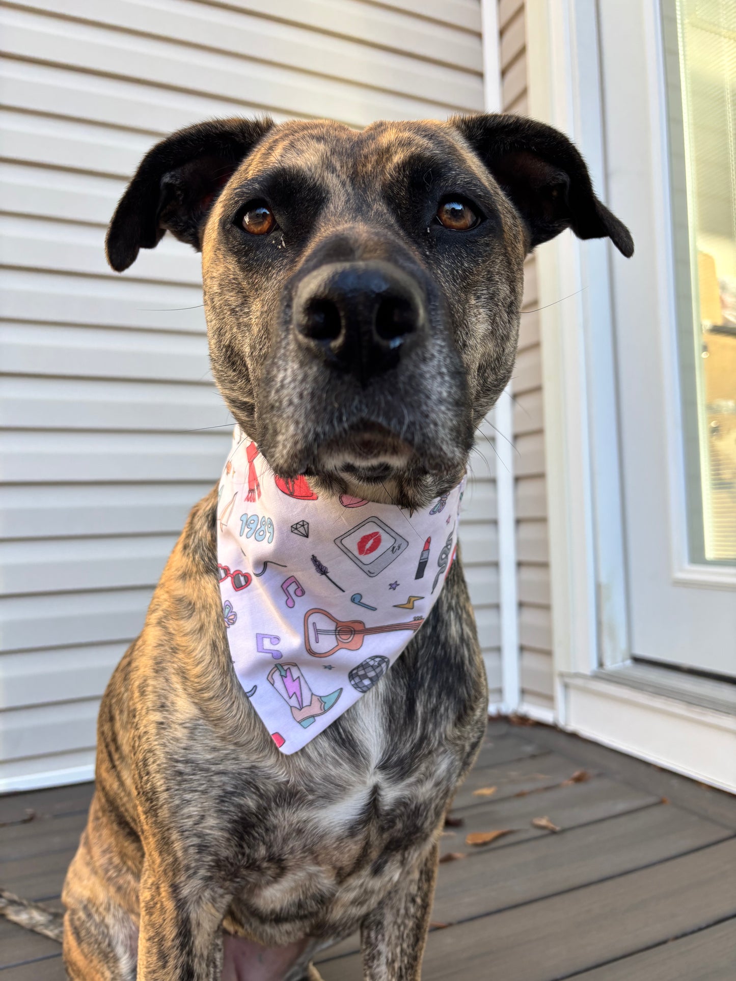 Taylor Swift scrunchie bandana