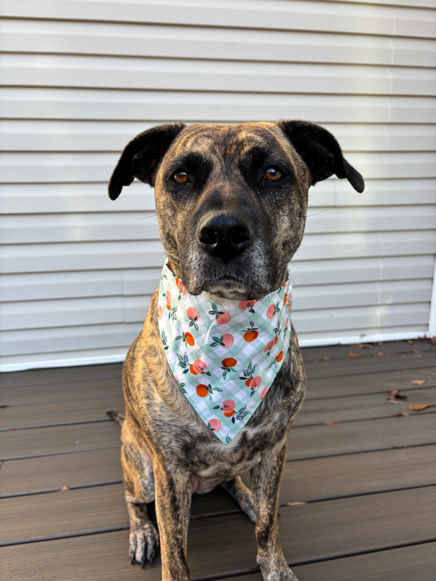 Scrunchie Peach bandana