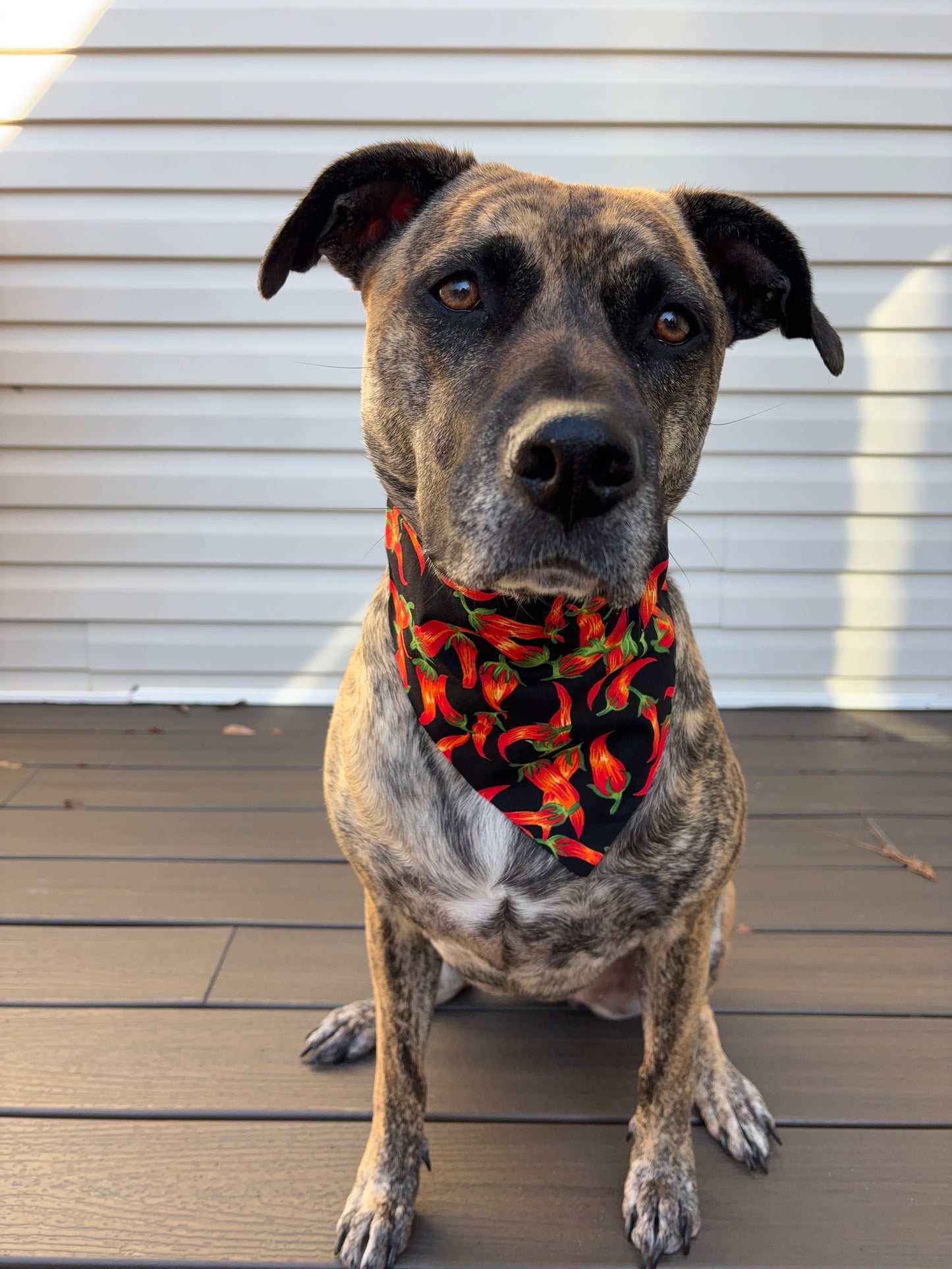 Scrunchie Pepper bandanna