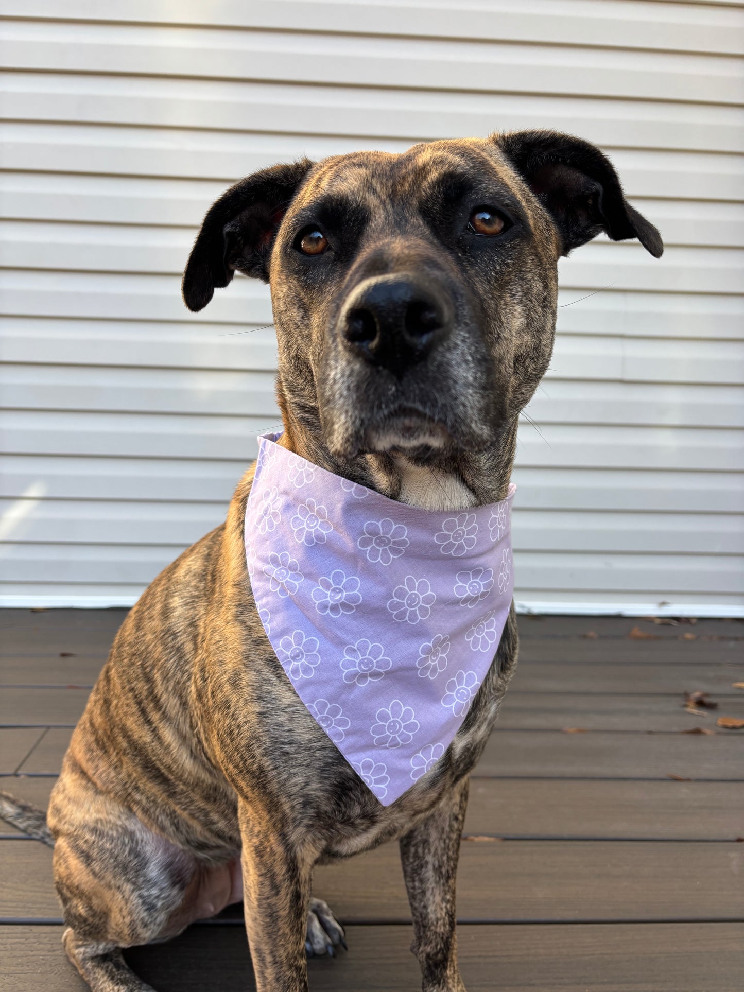 Scrunchie Purple Daisy Bandana