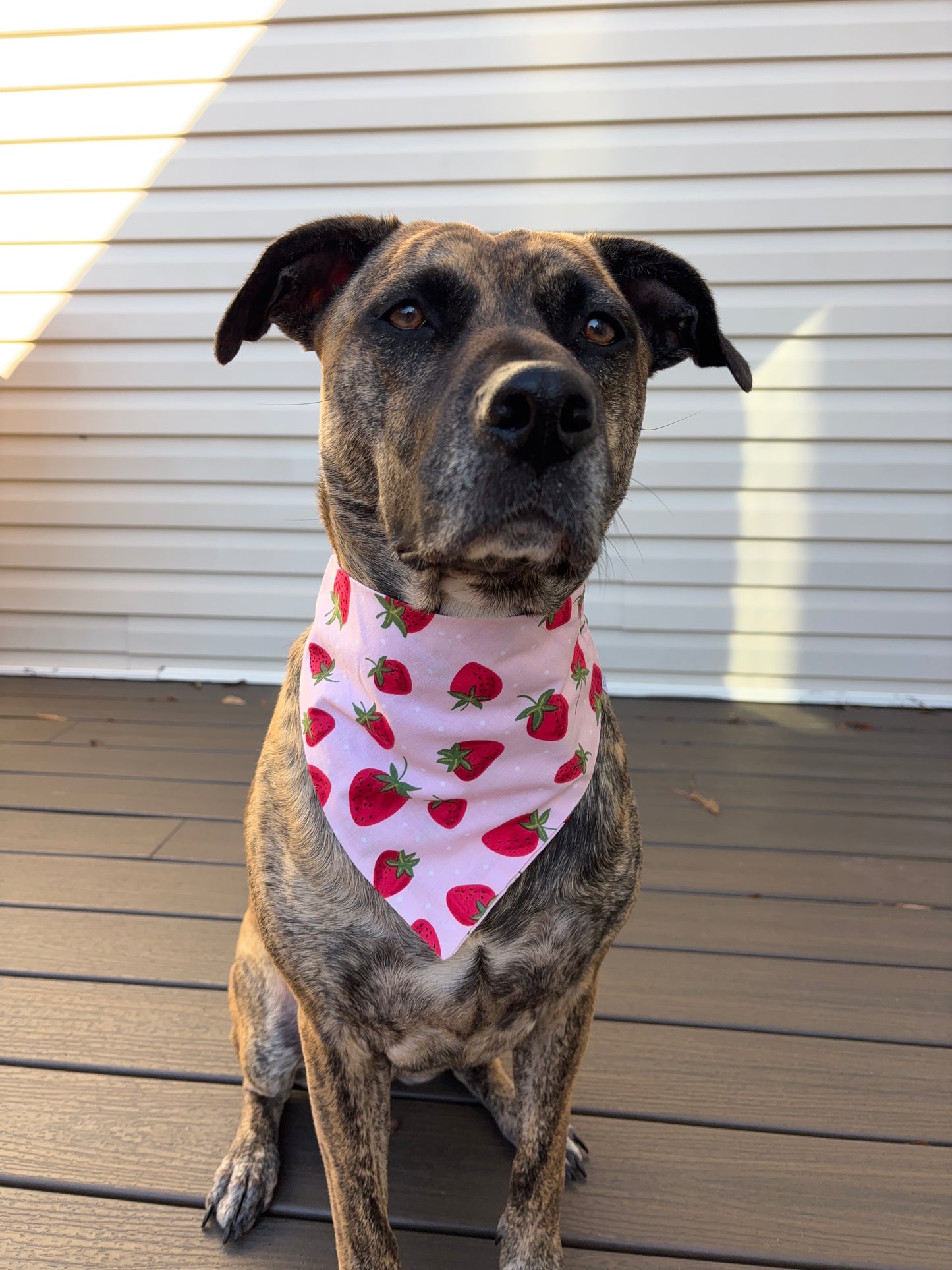 Scrunchie Strawberry Bandana