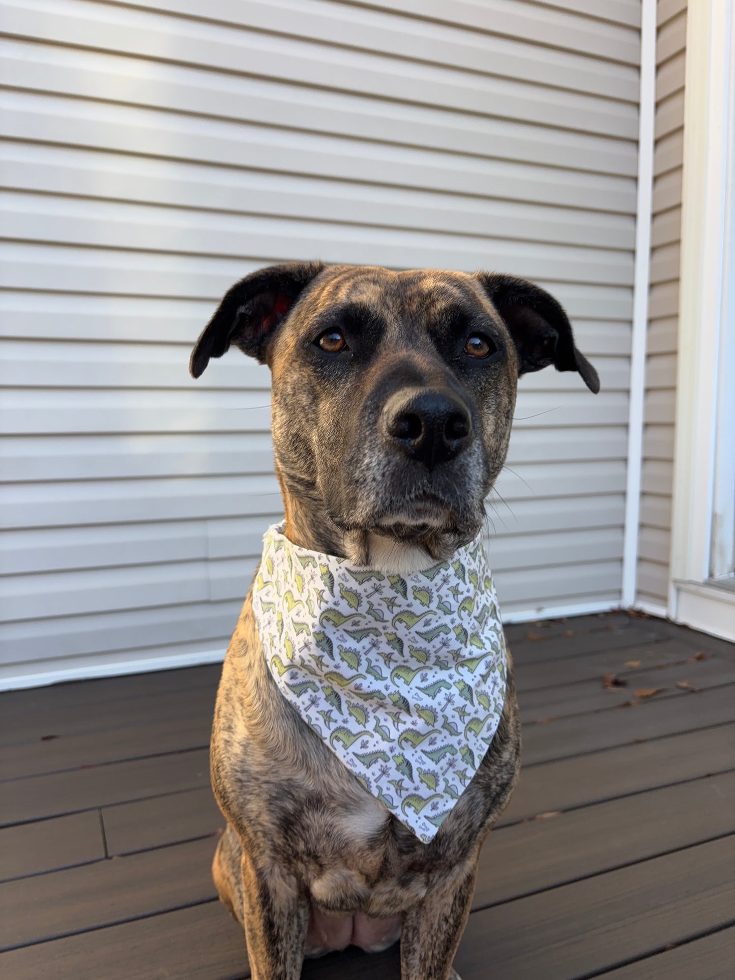 Dino scrunchie bandana
