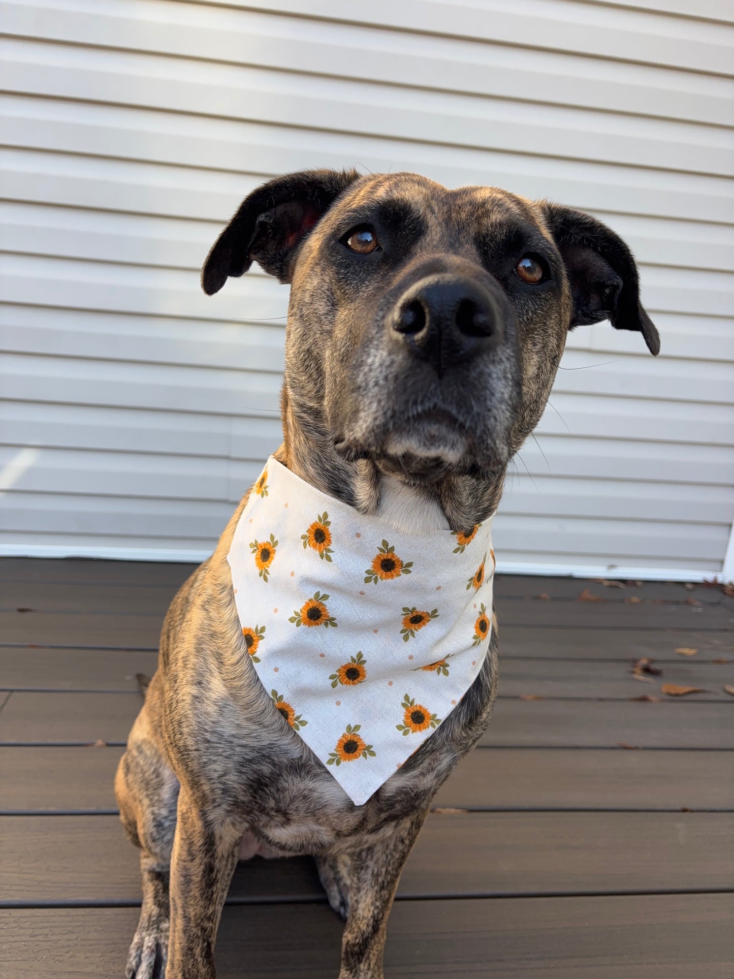 Scrunchie Sunflower Bandana