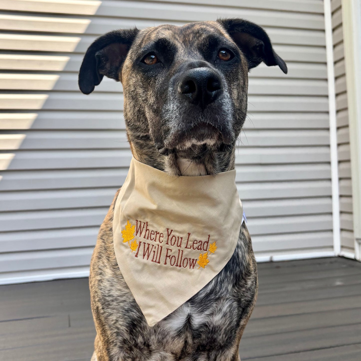 Where you lead I will follow