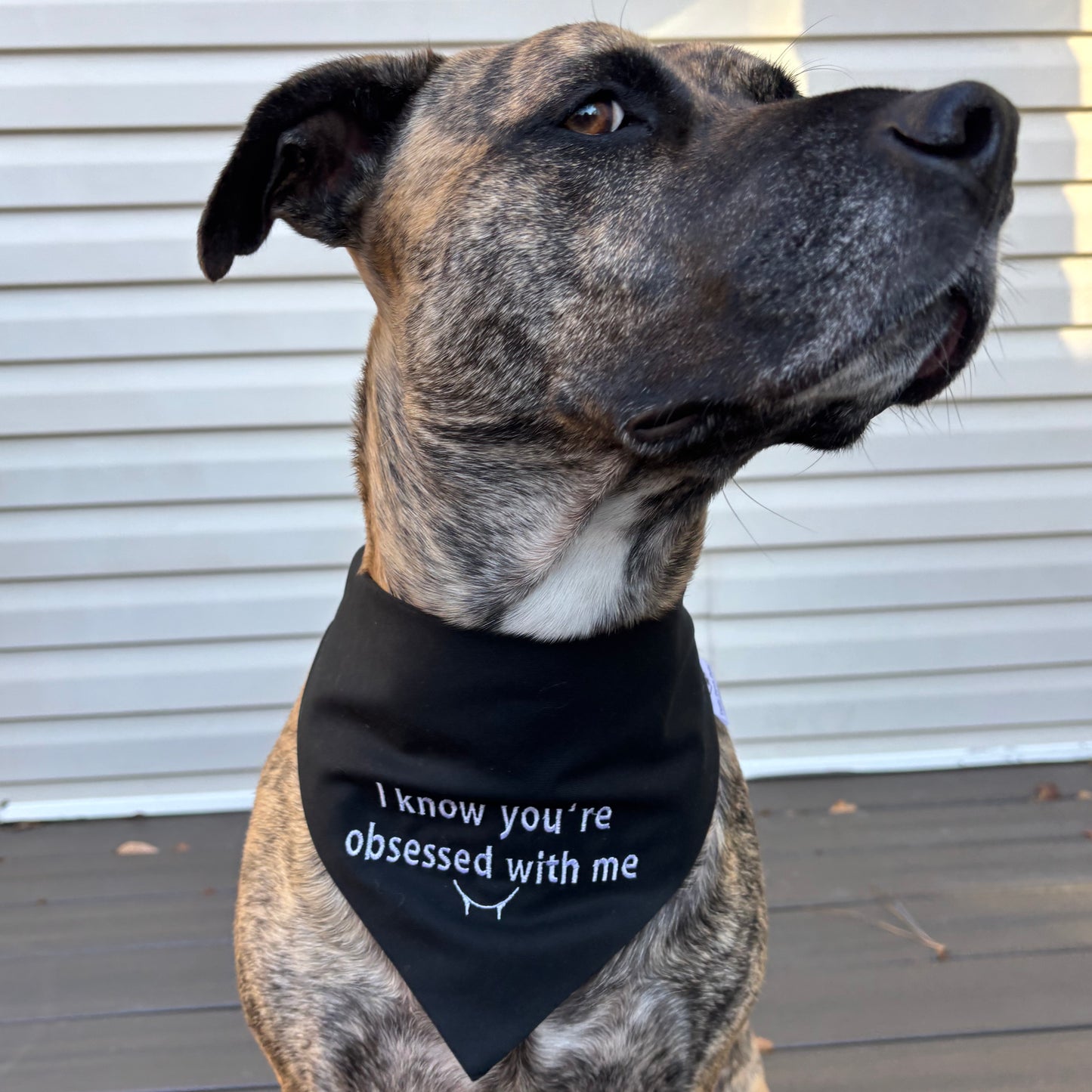 I Know You're Obsessed With Me image 0