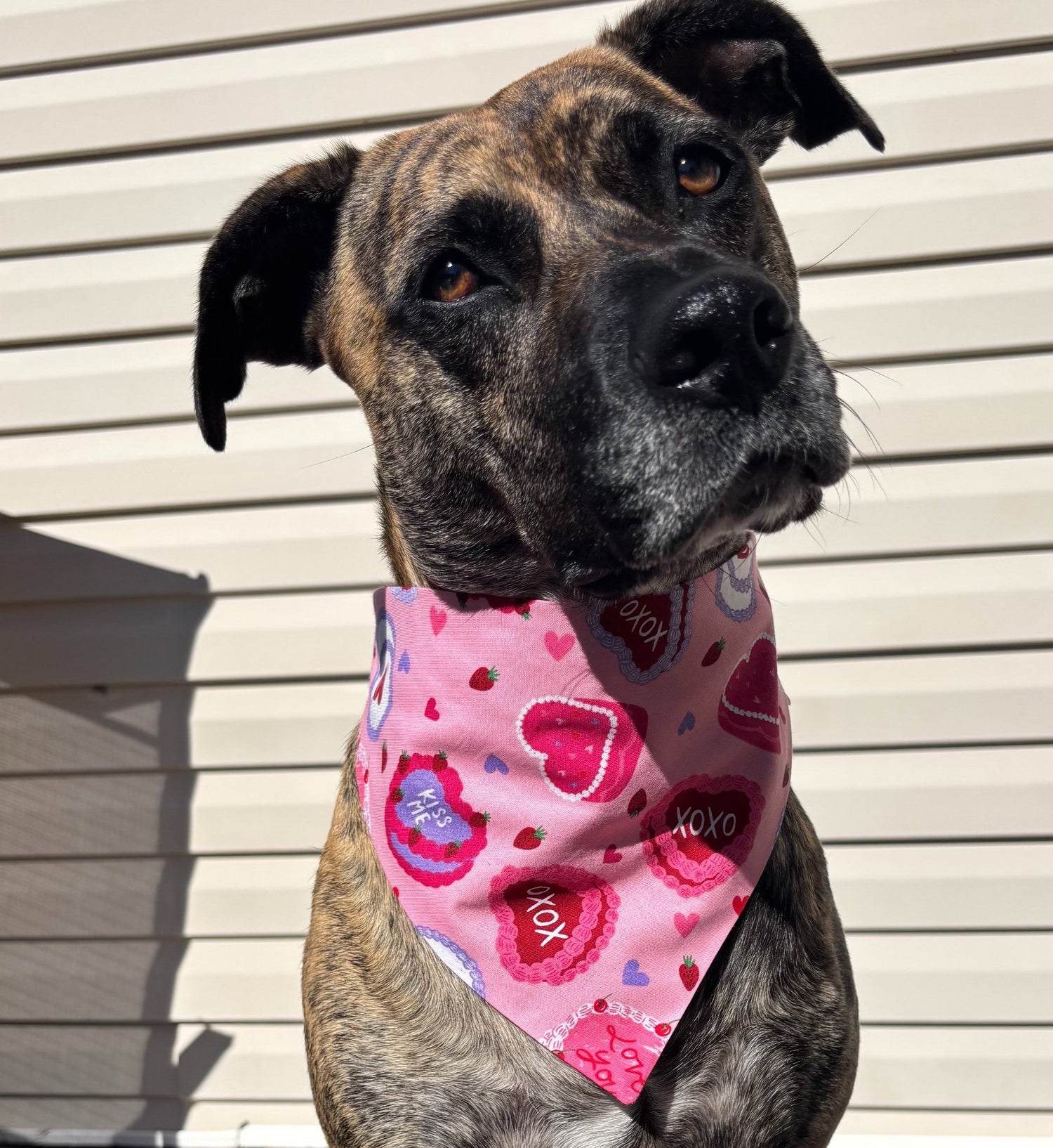 Scrunchie Bandanas