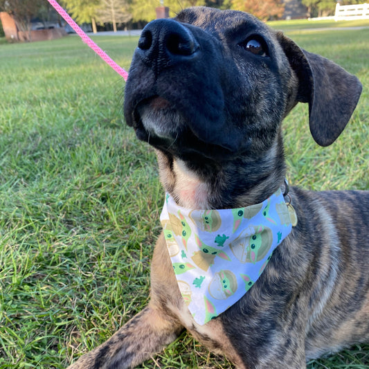 Baby Yoda With Frog bandana image 0