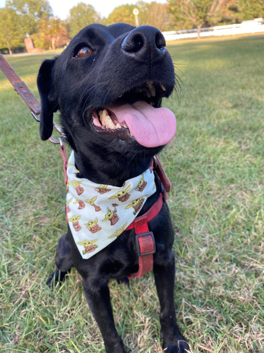 Baby Yoda Scrunchie Bandana image 0