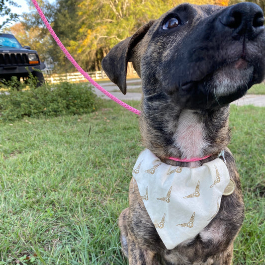 Golden Snitch bandana image 0