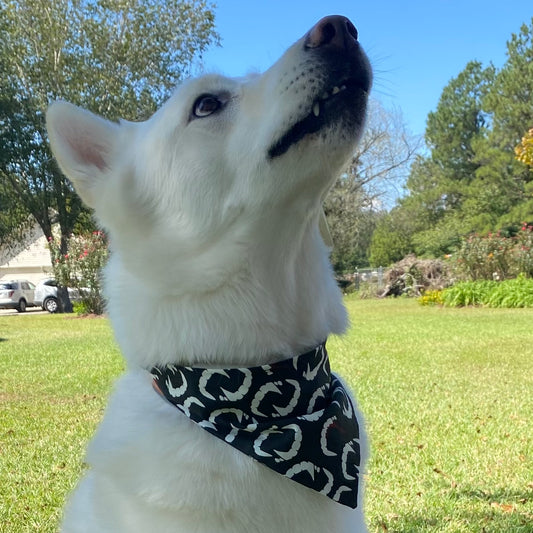 Glowing Vampire Teeth Scrunchie Bandana image 0