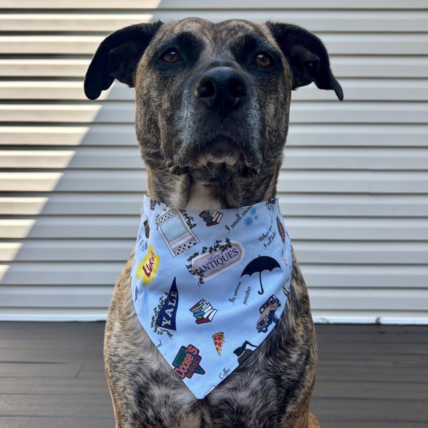 Gilmore Girls Bandana