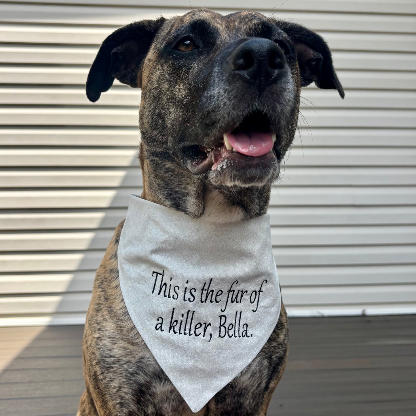 This is the fur of a killer bella