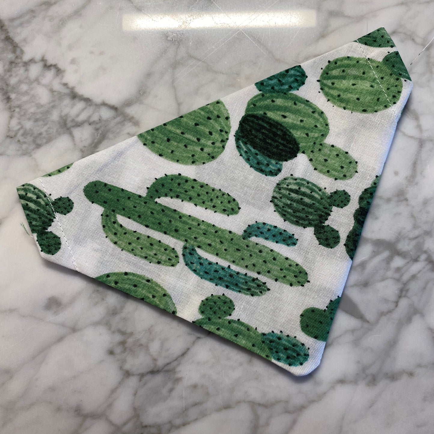 Cactus Bandana image 1